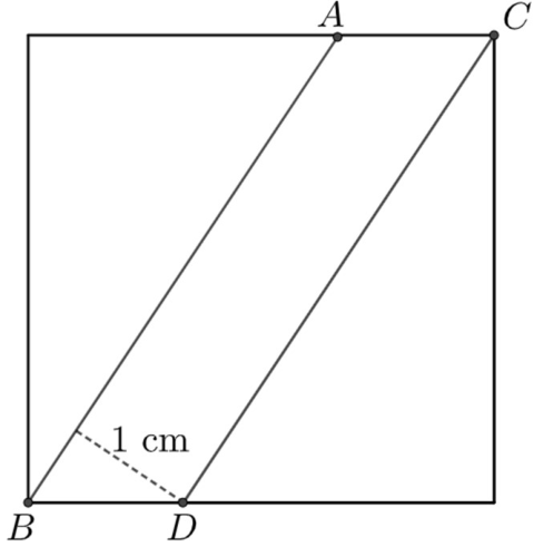 Figura del problema 11